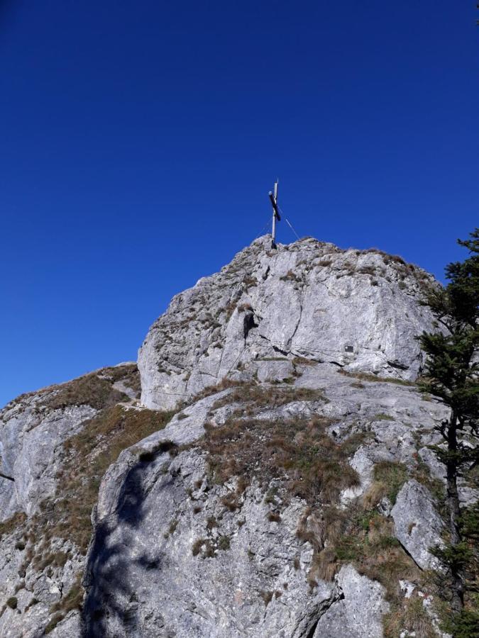 Kraeuterhof Miesrigl Βίλα Losenstein Εξωτερικό φωτογραφία
